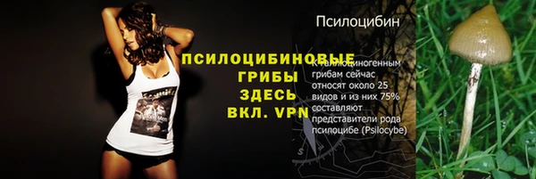 дживик Алексин
