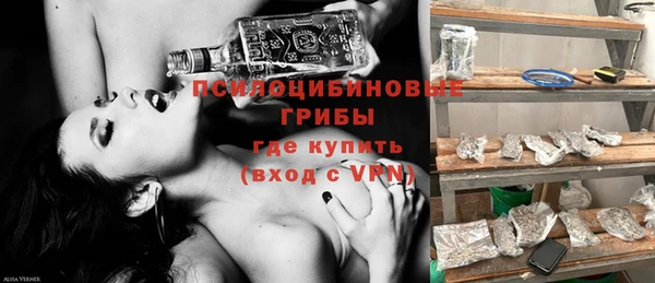 дживик Алексин