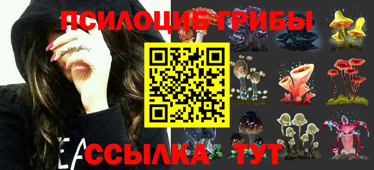 Псилоцибиновые грибы Psilocybine cubensis  Псилоцибиновые грибы Psilocybine cubensis  Вход с VPN  Заводоуковск 